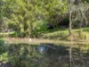 5 Dajaman Court, Bli Bli QLD 4560-Image