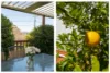 5 Darwinia Terrace, Rivett, ACT 2611-Image