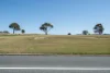 5 Darwinia Terrace, Rivett, ACT 2611-Image