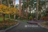 5 Doonaha Road, Cockatoo, Vic 3781-Image