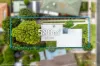5 Dorothy Street, Leopold, Vic 3224-Image