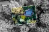 5 Doughtys Road, Kalorama, Vic 3766-Image