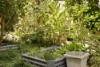 5 Dracena Court, Currimundi, Qld 4551-Image