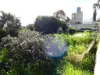 5 Edith St, Jeparit, Vic 3423-Image