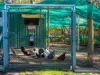 5 Elton Crescent, Capalaba, Qld 4157-Image