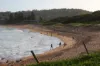 5 Elvina Avenue, Avalon Beach, NSW 2107-Image