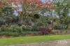 5 Ferngreen Way, Castle Hill, NSW 2154-Image