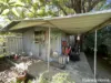 5 Fletcher Street, Goondiwindi, Qld 4390-Image