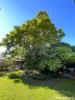 5 Fletcher Street, Goondiwindi, Qld 4390-Image