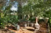 5 Freeman Drive, Lochinvar, NSW 2321-Image