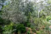 5 Friarbird Place, Pomona, Qld 4568-Image
