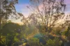 5 Gainsborough Way, Goonellabah, NSW 2480-Image