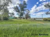 5 Goold Street, Cobar, NSW 2835-Image