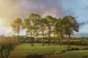 5 Grafton Street, Lowanna, NSW 2450-Image