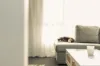 5 Greenacre Street, Upper Burnie, Tas 7320-Image