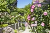 5 Greenhaven Court, Mount Clear, Vic 3350-Image