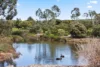 5 Harbour Lane, Mawson Lakes, SA 5095-Image