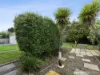 5 Hartnoll Place, Evandale, Tas 7212-Image
