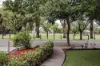 5 Hawkes Avenue, Glenelg East, SA 5045-Image