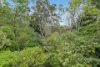 5 Hillcrest Road, Wentworth Falls, NSW 2782-Image