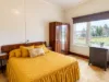 5 Hugh St, St Marys, Tas 7215-Image