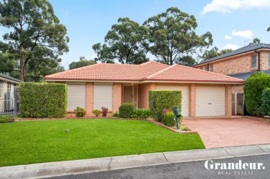 5 Ida Place, Cecil Hills, NSW 2171