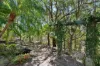 5 Illowra Lane, Hyams Beach, NSW 2540-Image