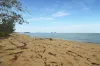 5 Inarlinga Road, Cowley Beach, Qld 4871-Image