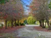 5 Jay Road, Foster, Vic 3960-Image