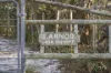 5 Jeanneret Beach Road, Binalong Bay, Tas 7216-Image