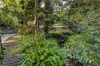 5 Jeffery Street, Blackburn, Vic 3130-Image