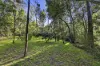 5 Jeffery Street, Blackburn, Vic 3130-Image