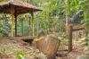 5 Jellicoe Street, Mount Lofty, Qld 4350-Image