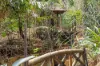 5 Jellicoe Street, Mount Lofty, Qld 4350-Image