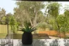 5 Keane Street, Wembley, WA 6014-Image