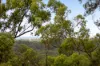 5 Kerada Road, Rosemount, Qld 4560-Image
