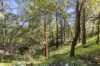 5 Koda Court, Bonogin QLD 4213-Image