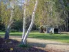 5 Kurrajong Tree Track, Briagolong, Vic 3860-Image