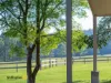 5 Kurrajong Tree Track, Briagolong, Vic 3860-Image