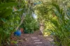5 Linde Street, Moil, NT 0810-Image