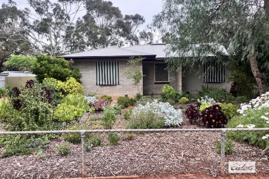5 Longford Street, Evanston, SA 5116