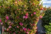 5 Loongana Place, Somerset, Tas 7322-Image