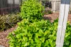 5 Loongana Place, Somerset, Tas 7322-Image