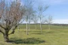 5 Lupin Place, Murrumbateman, NSW 2582-Image