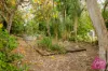 5 Luss Street, Moggill, Qld 4070-Image