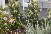 5 Mahogany Lane, Tea Gardens, NSW 2324-Image