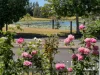 5 Mahogany Lane, Tea Gardens, NSW 2324-Image