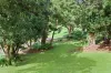 5 Manley Drive, Montville, Qld 4560-Image