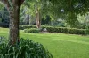 5 Manley Drive, Montville, Qld 4560-Image