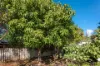 5 Marianthus Close, Strathalbyn, WA 6530-Image